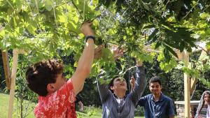 MVI 9650.00 10 15 20.Still001